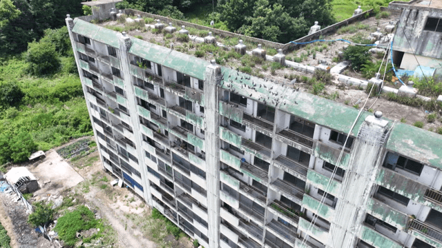 Old apartment with pigeons on the roof