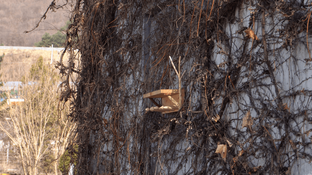 Handcrafted wooden shelf on an old building covered with dry vines