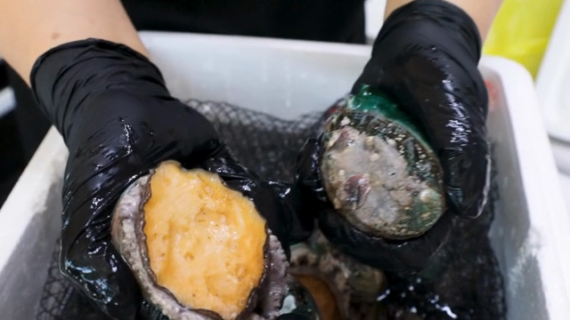 서로 붙어있는 전복을 떼는 손