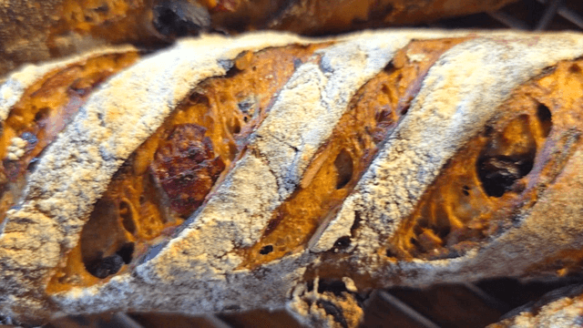 갓 구운 프랑스식 아티잔 빵