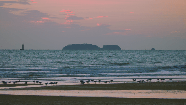 Calm beach with birds under the dark sky