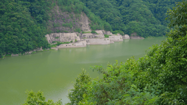 Calm lake surrounded by green forest
