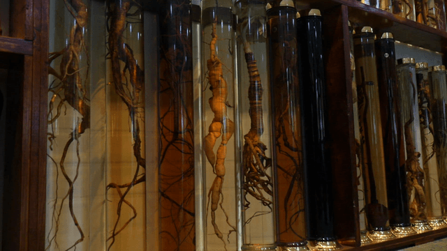 Displayed Old Infusion Liquors