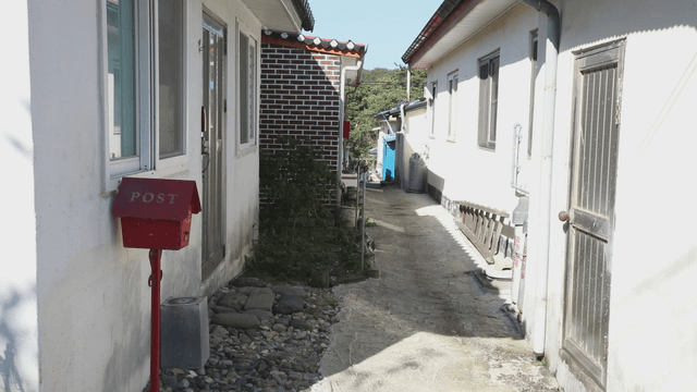 Quiet alley between residential houses