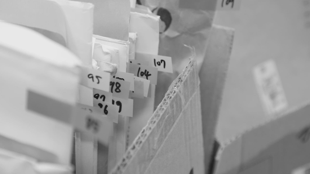 Organized files with numbered tabs