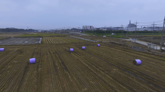 Rural landscape with hay bales and fields
