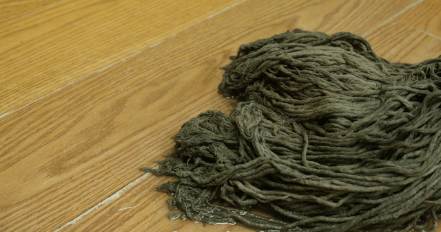 Wet mop on a wooden floor