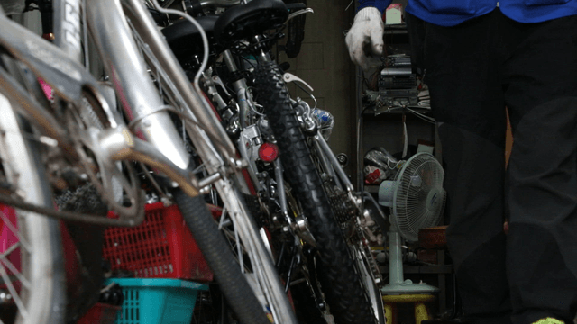 Person organizing bicycles in a shop