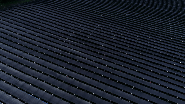 햇빛 아래 펼쳐진 넓은 차양막이 쳐진 농경지