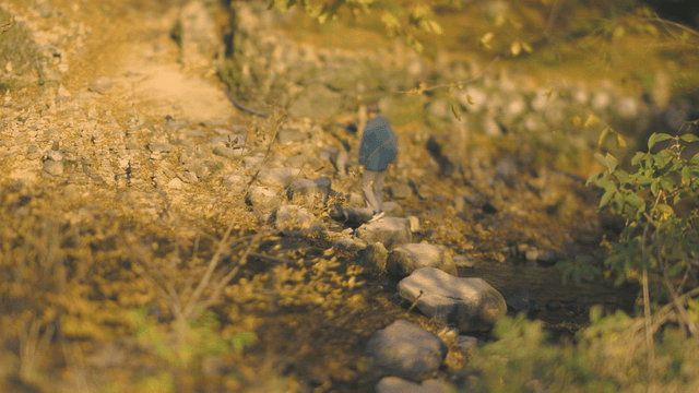Person walking along a rocky stream