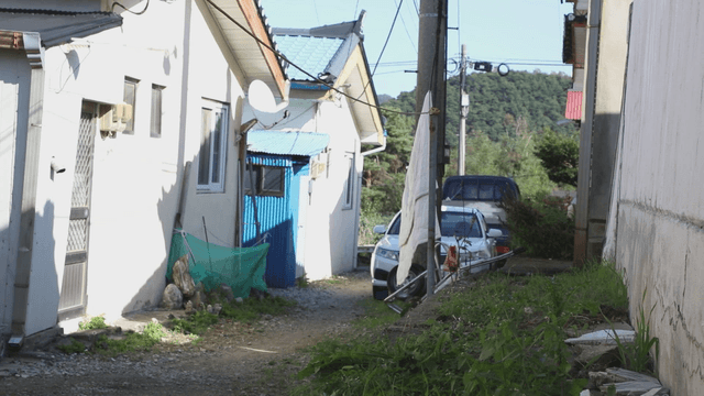 Quiet alley with houses and parked cars