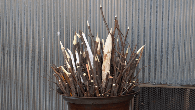 Metal basket filled with sharpened wooden carvings