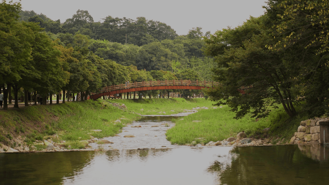 Calm brook with wooden bridge in distance