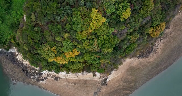 Aerial view of a forested coastline