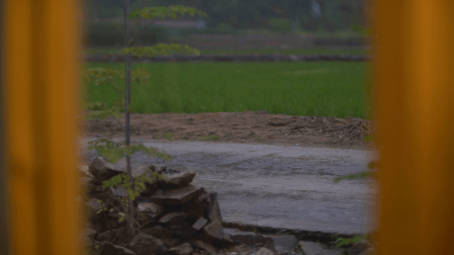 Heavy rain pouring over rural fields