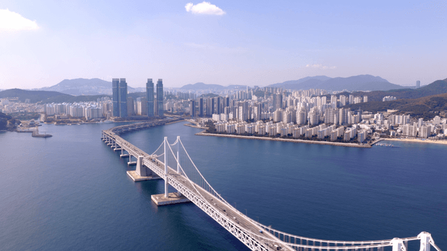 Sprawling cityscape with a large bridge