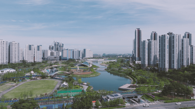 Lake park among modern high-rise buildings