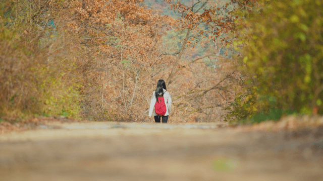 Person walking down autumn forest trail