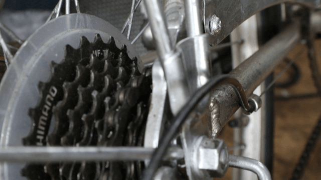 Close-up of a bicycle gear mechanism
