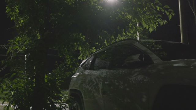Car parked under a tree at night