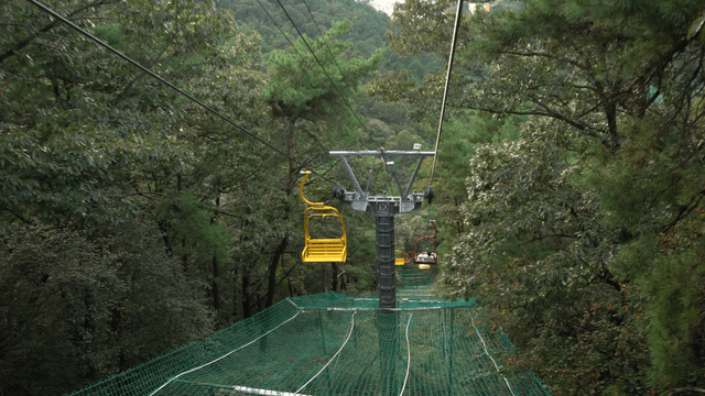 Cable car slowly descending over forest