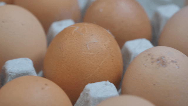 Fresh brown eggs in rough egg tray