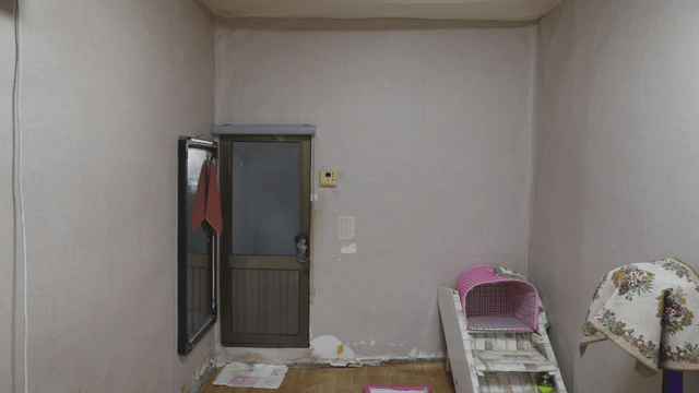 Simple home room with pet accessories