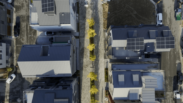 Modern residential area with tree and solar panels