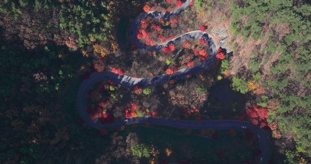 Winding road through a colorful autumn forest