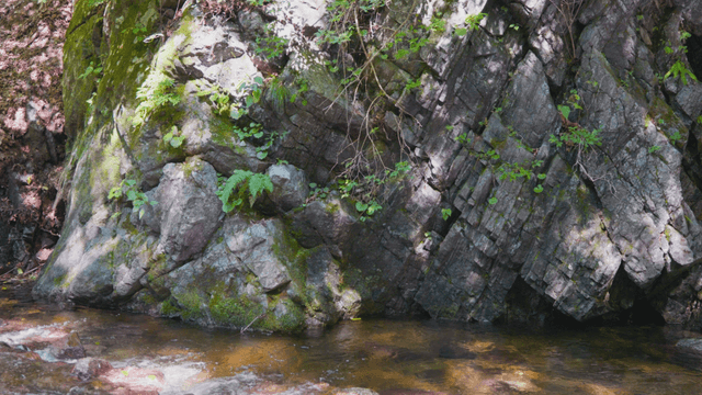 Calm stream flowing beneath rocky cliffs