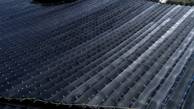 차양막 쳐져있는 농장 풍경