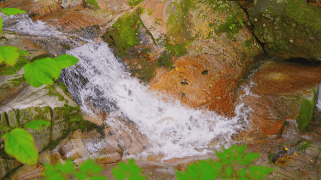 Small valley stream flowing over rocks