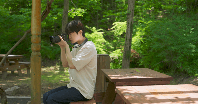 Person taking photos in a forest