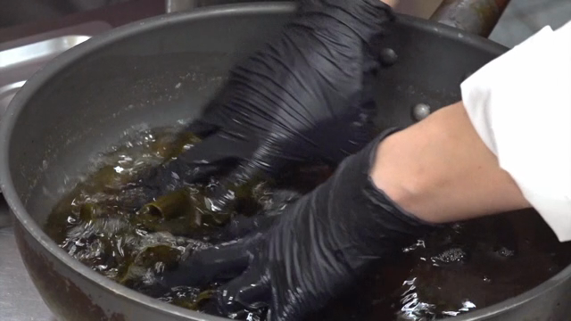 Hands preparing kelp in a pot