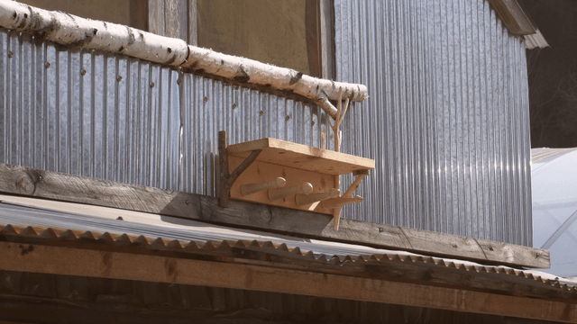 Wooden rack shelf on a metal barn wall