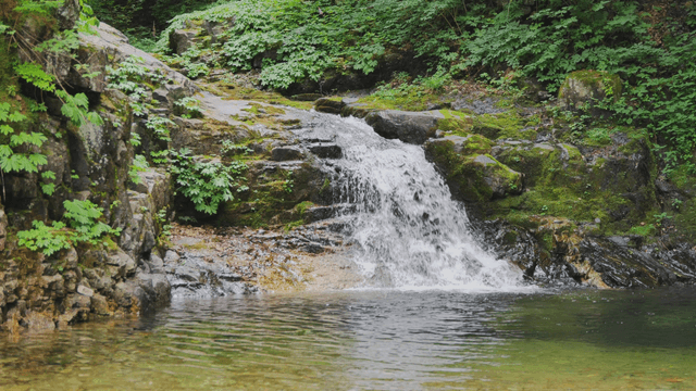 Clear valley quietly flowing between trees