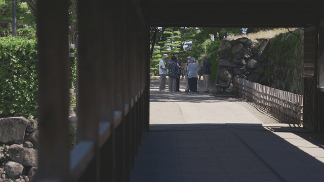 Group of elderly people in a garden