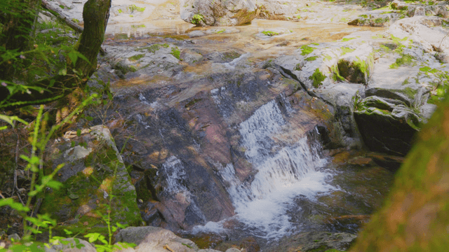 Terraced small waterfall in forest