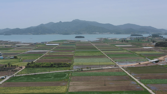 Expansive farmland with distant sea and mountains