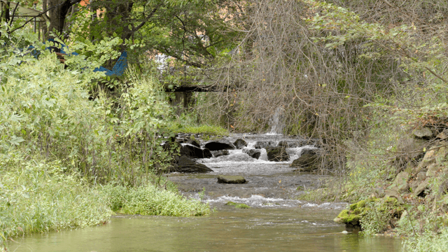 녹지로 둘러싸인 계곡