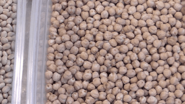 Various beans in plastic container