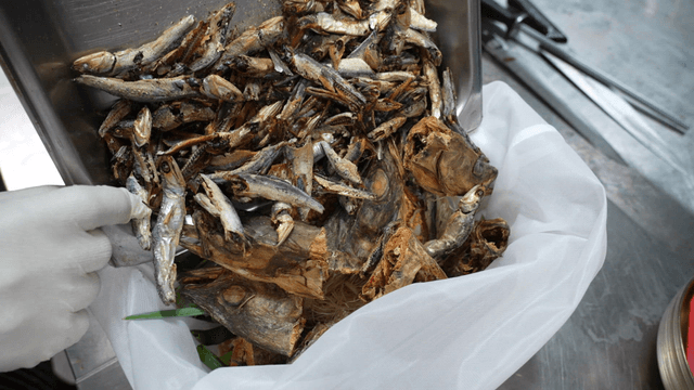 주방 조리대 위 천 육수망에 넣어지는 마른 멸치와 생선 머리