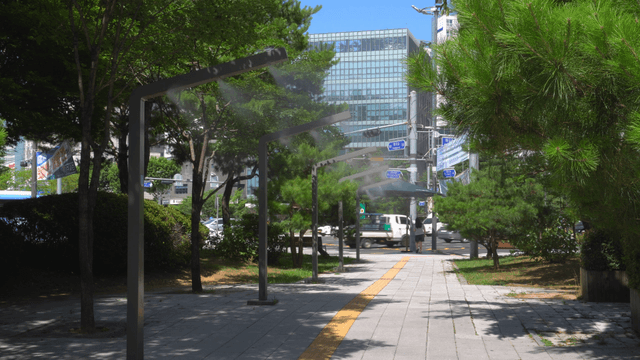 Sidewalk surrounded by trees in the city