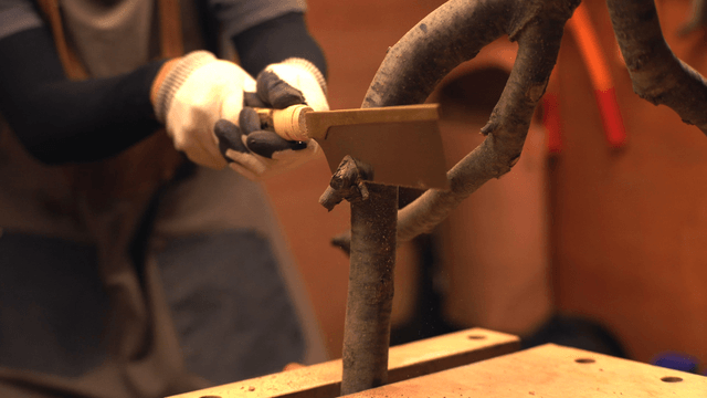 Person cutting a branch indoors