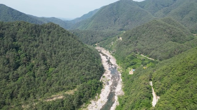 A river winding through lush green mountains