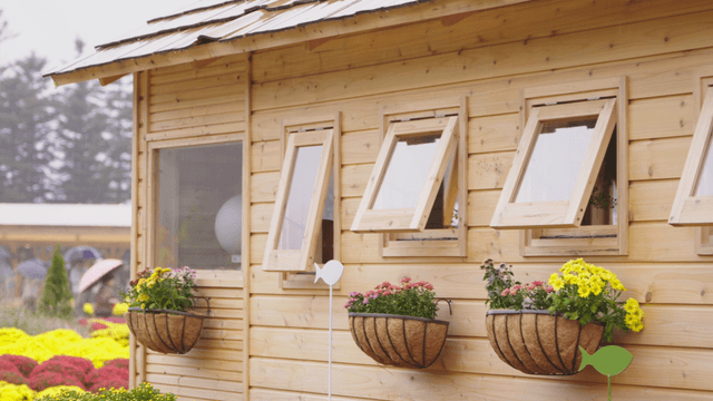 Rainy garden beside wooden house with blooming flowers