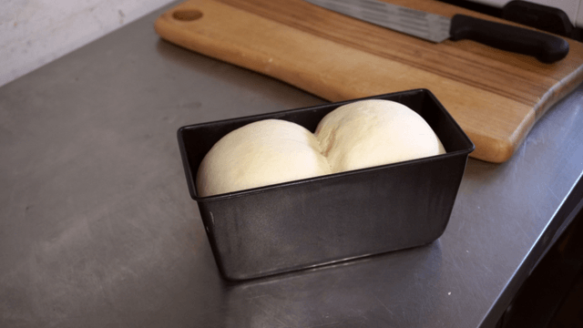 Dough rising in a baking pan