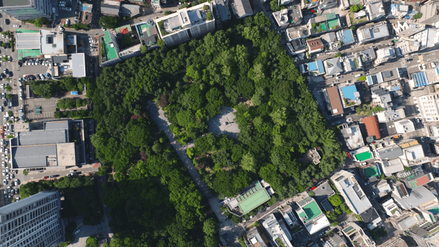 Aerial view of a city park surrounded by buildings