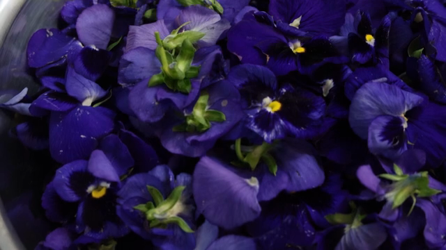 Vibrant purple flowers in a metal bowl
