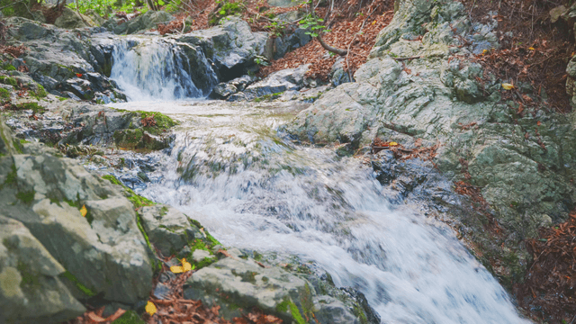A tranquil forest valley flowing over rocks